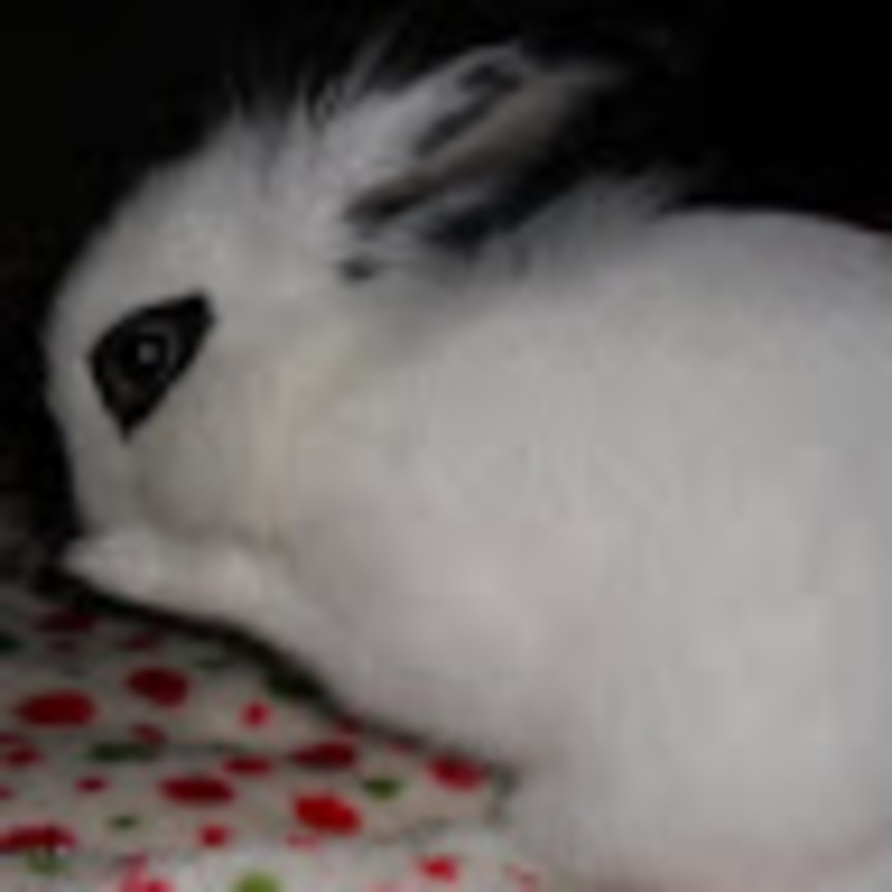 Meet your Posher, Mercury